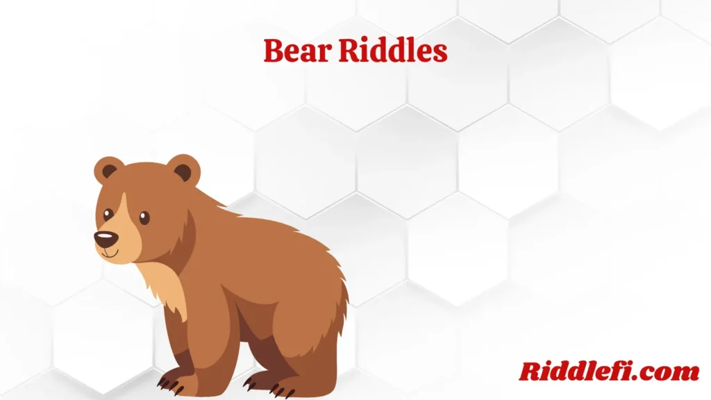 Bear Riddles