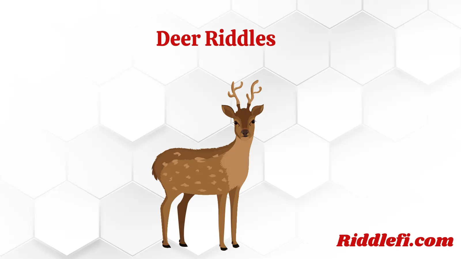 Deer Riddles