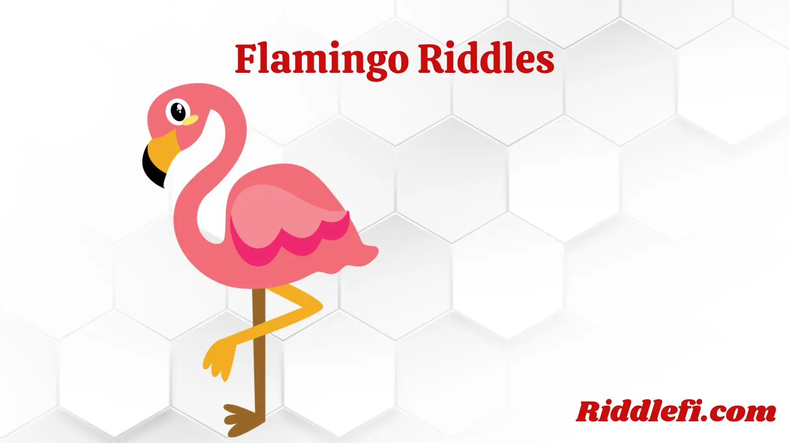 Flamingo Riddles