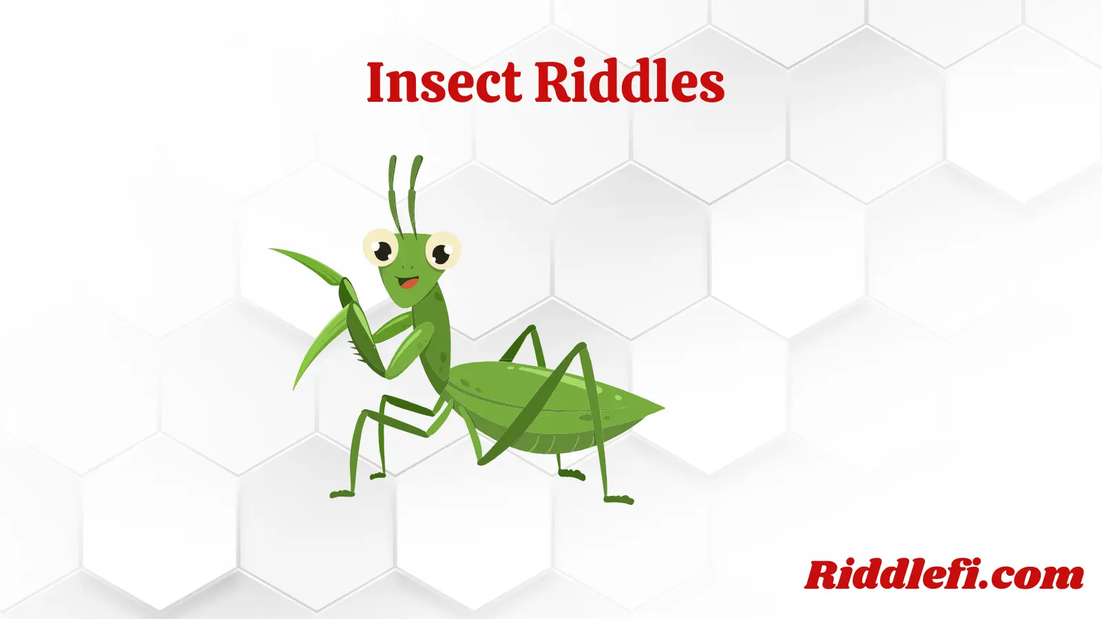 Insect Riddles