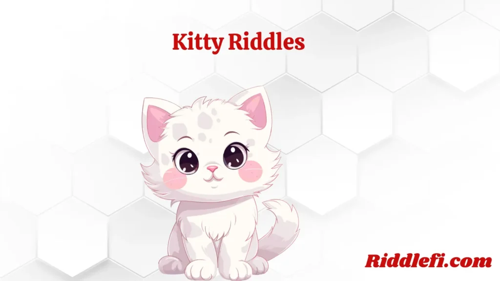 Kitty Riddles