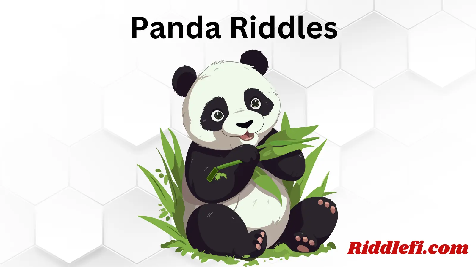 Panda Riddles