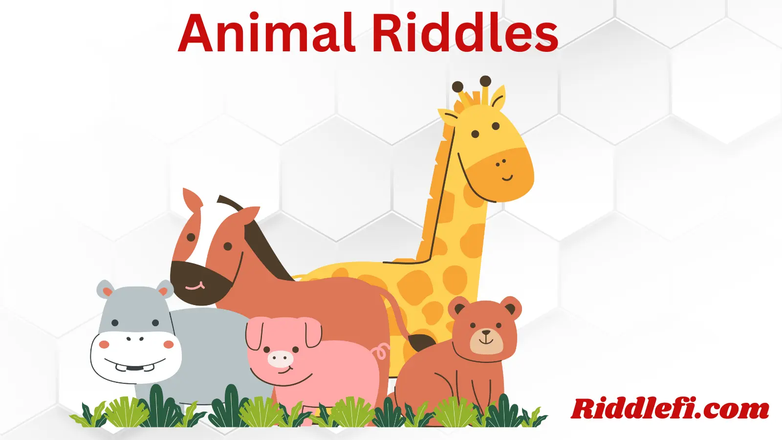 Animal Riddles
