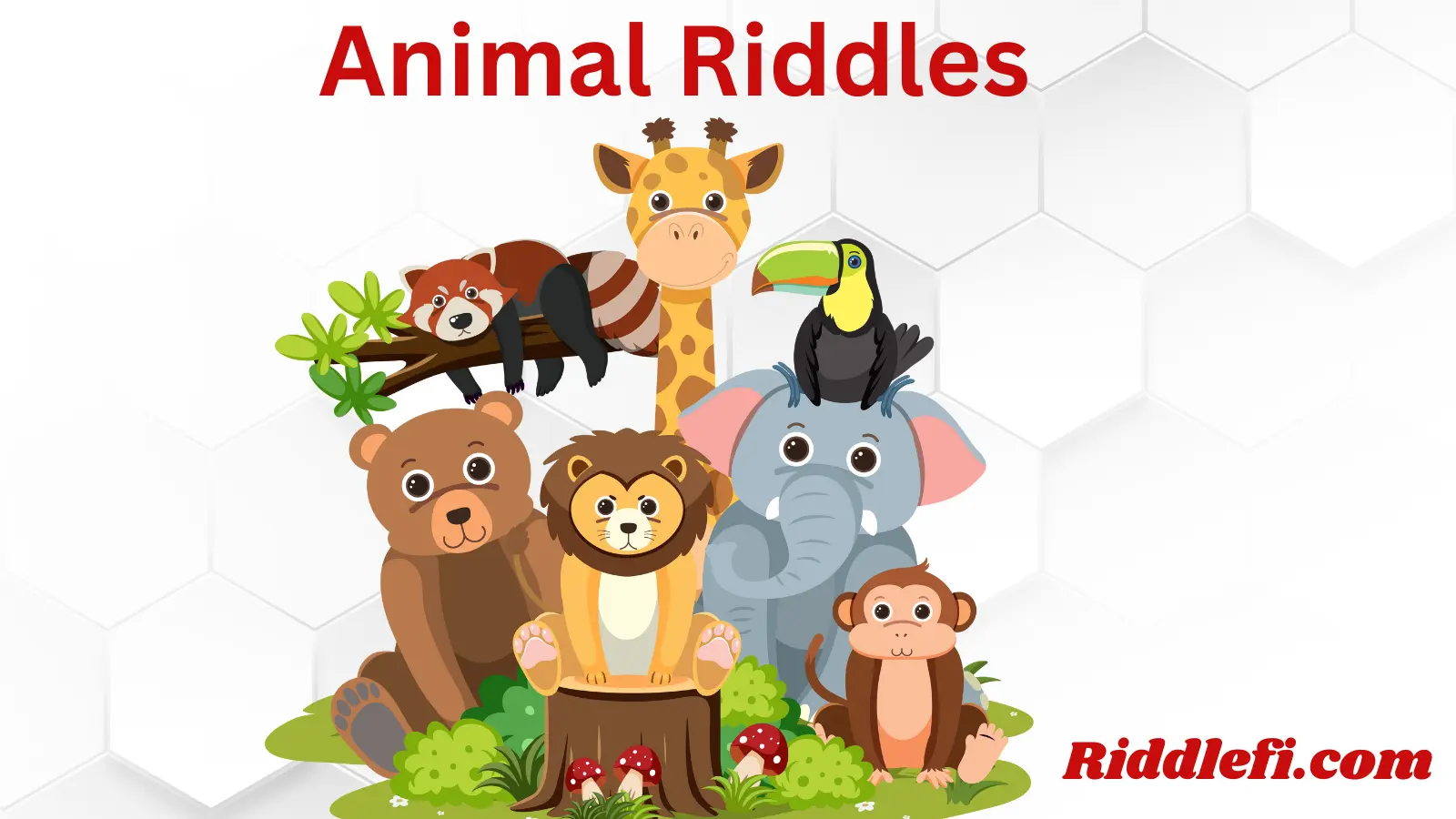 Animal Riddles