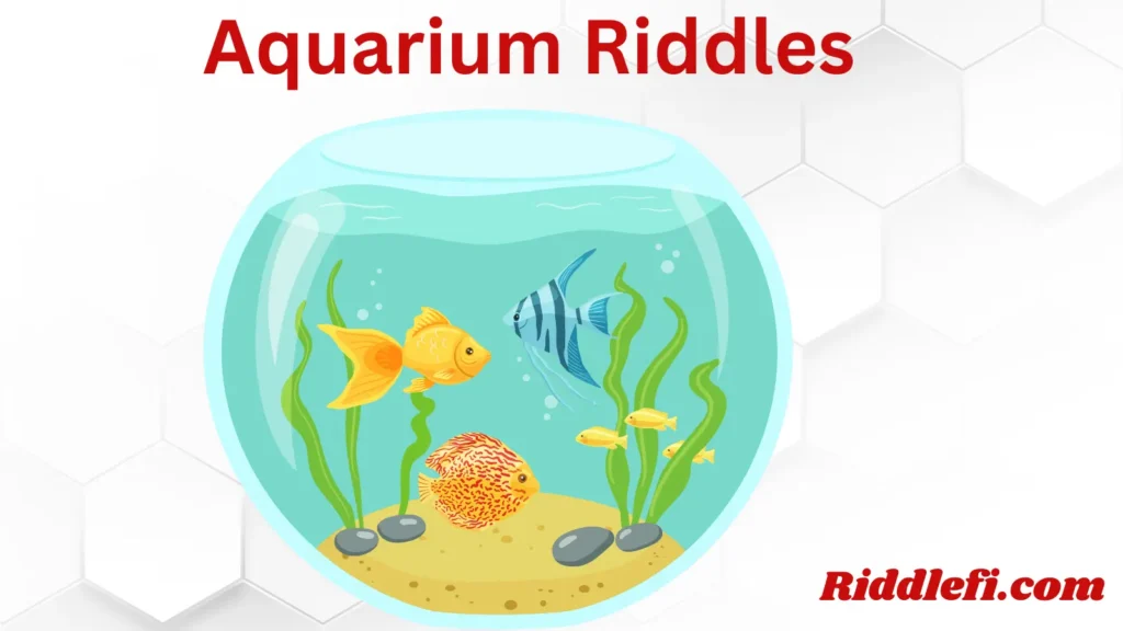 Aquarium Riddles
