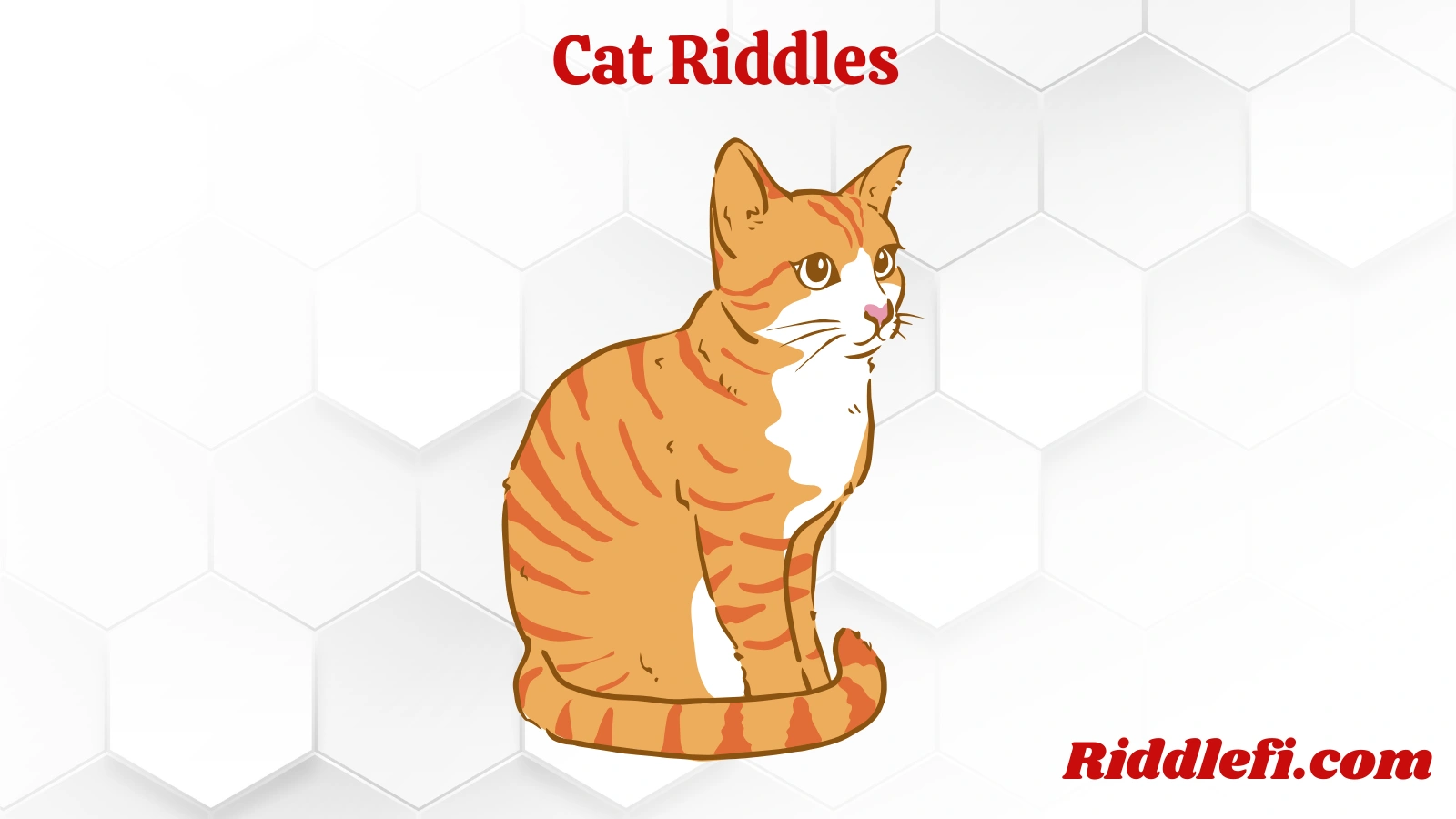 Cat Riddles