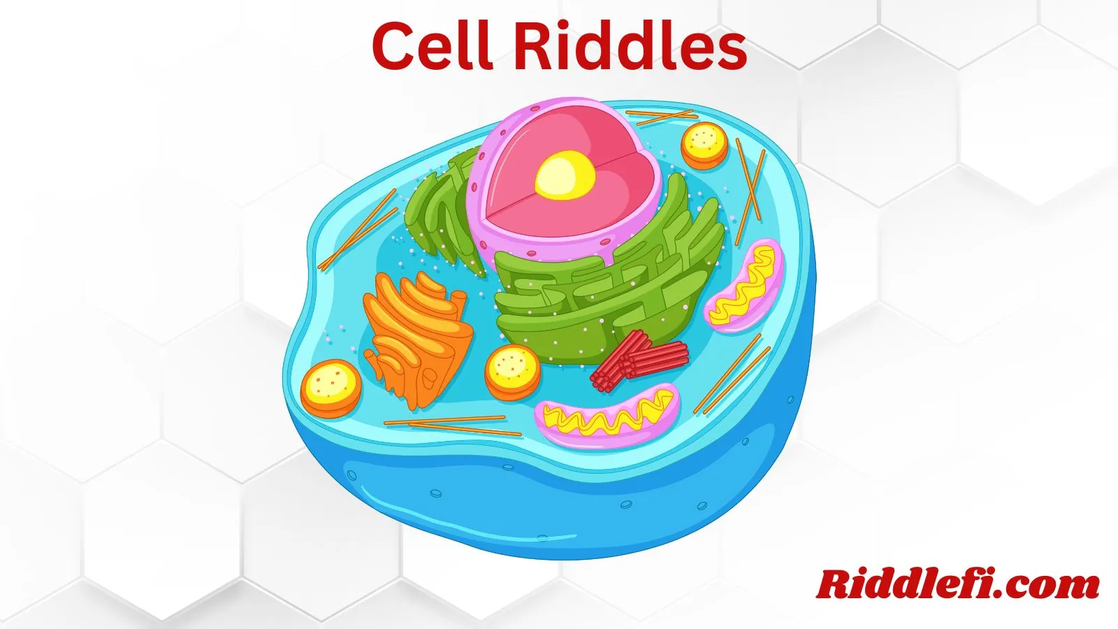 Cell Riddles
