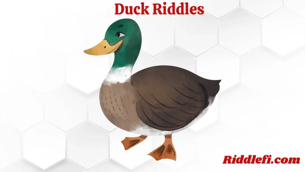 Duck Riddles