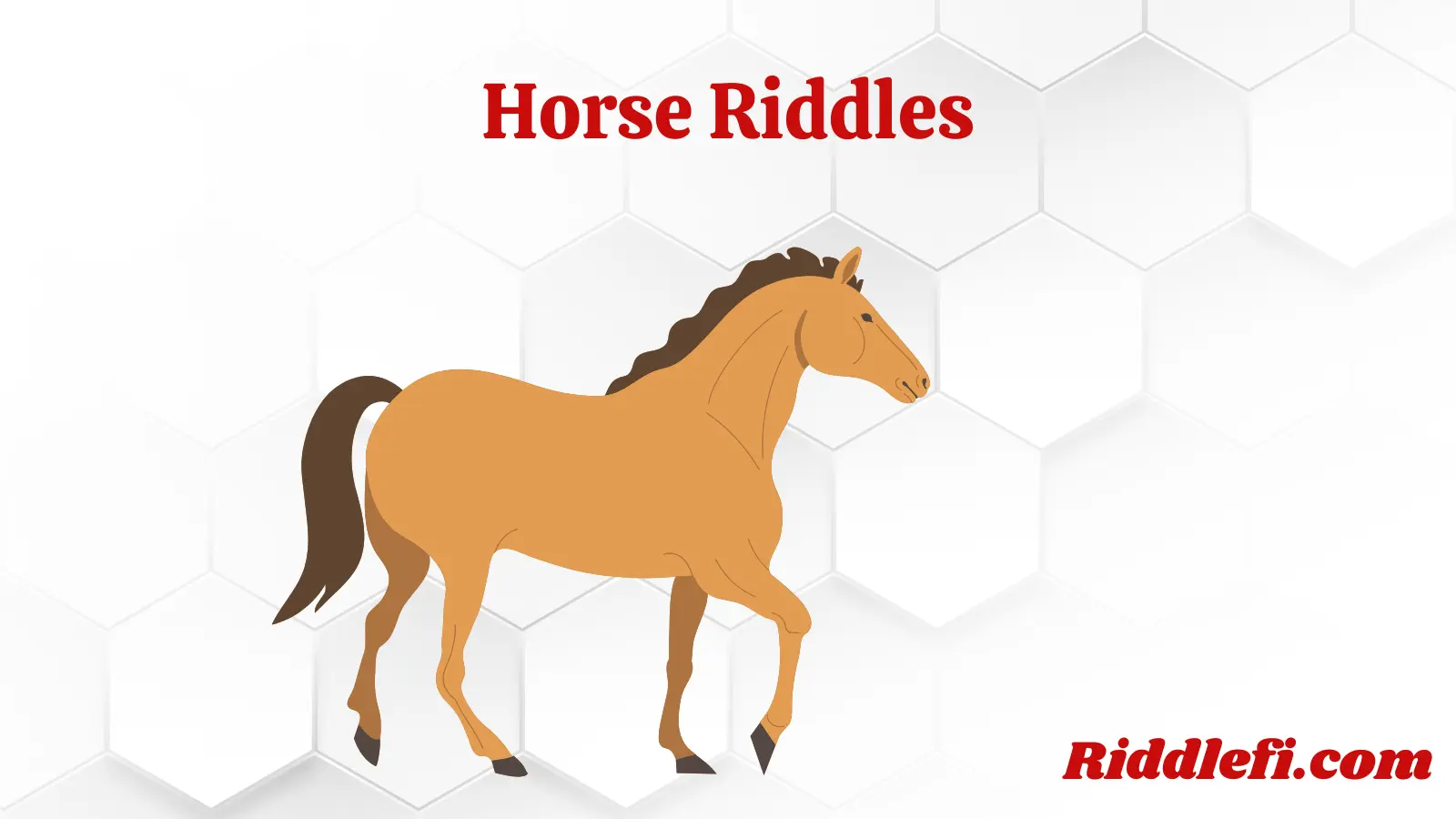 Horse Riddles