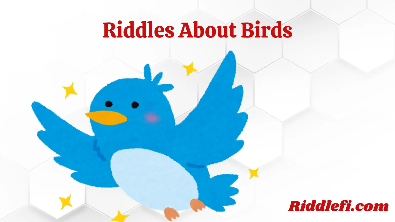 Riddles About Birds