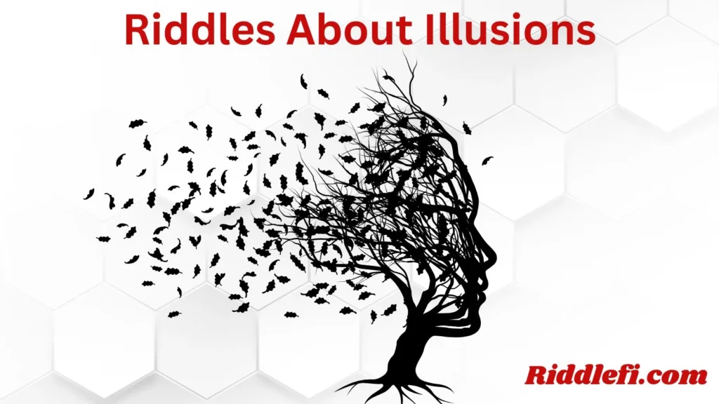 Riddles About Illusions