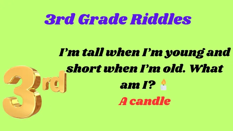 3rd Grade Riddles