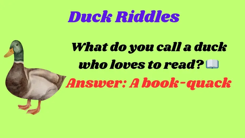 Duck Riddles