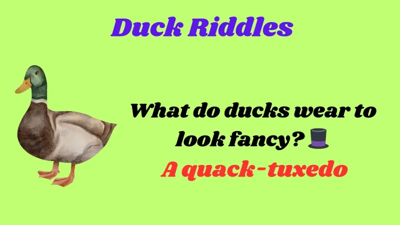 Duck Riddles