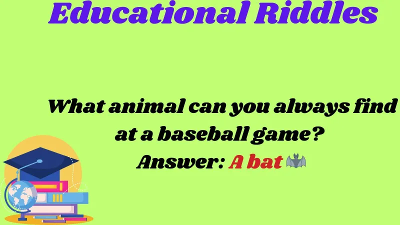 Educational Riddles