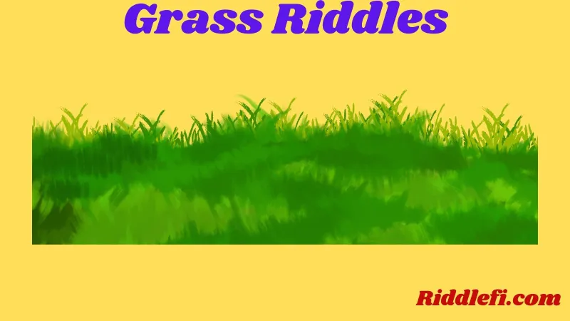 Grass Riddles