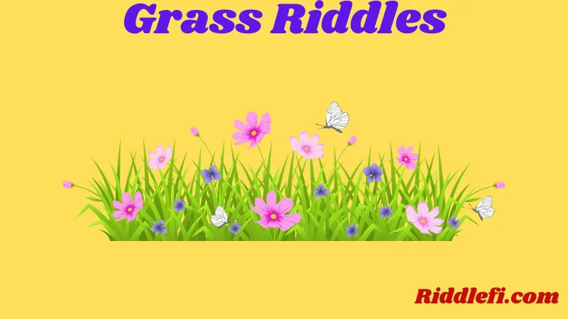 Grass Riddles