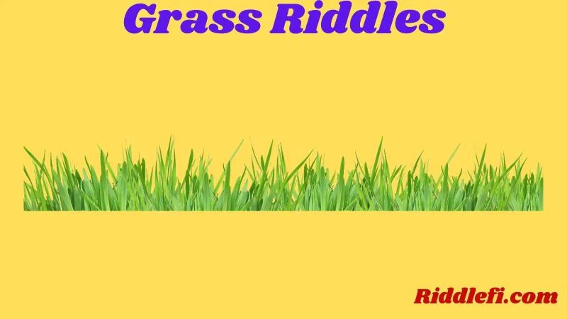 Grass Riddles