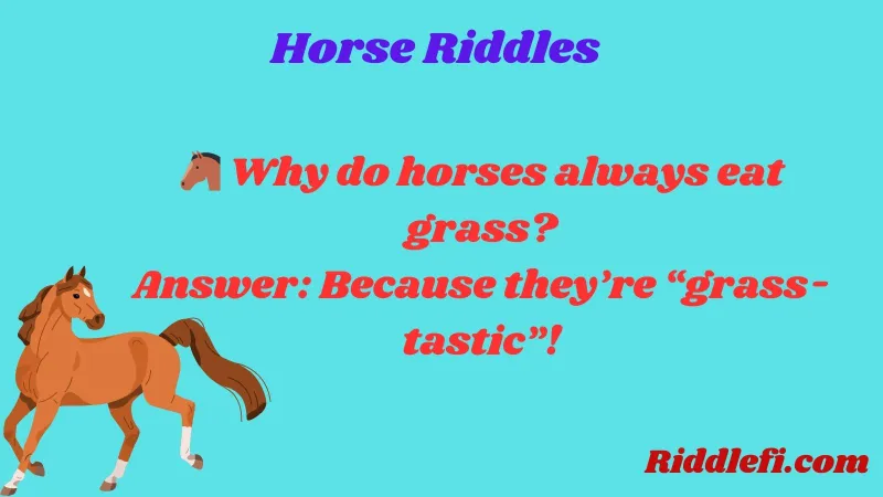 Horse Riddles