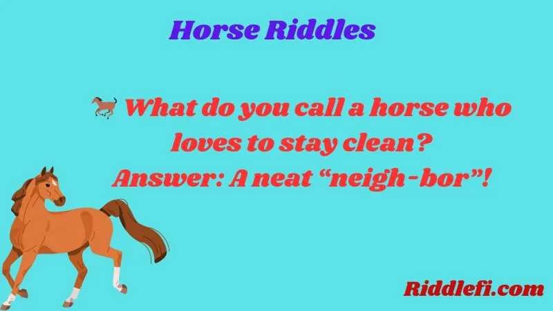 Horse Riddles