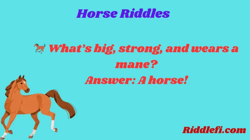 Horse Riddles