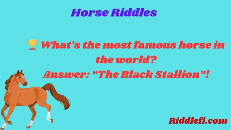 Horse Riddles