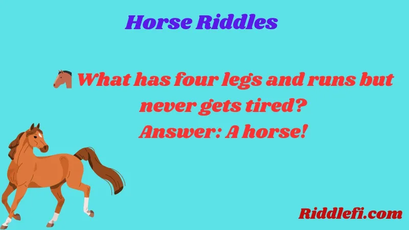 Horse Riddles