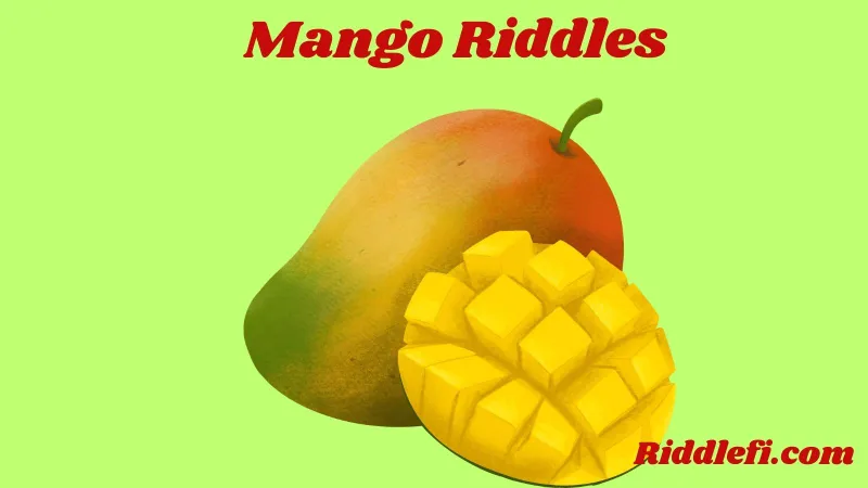 Mango Riddles