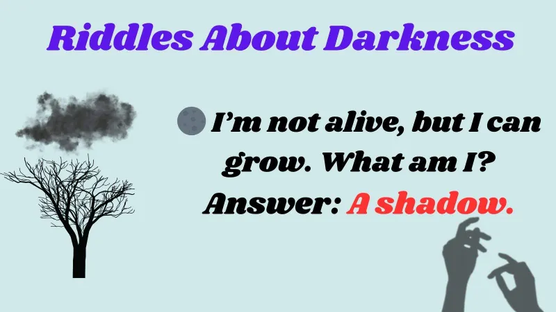 Riddles About Darkness