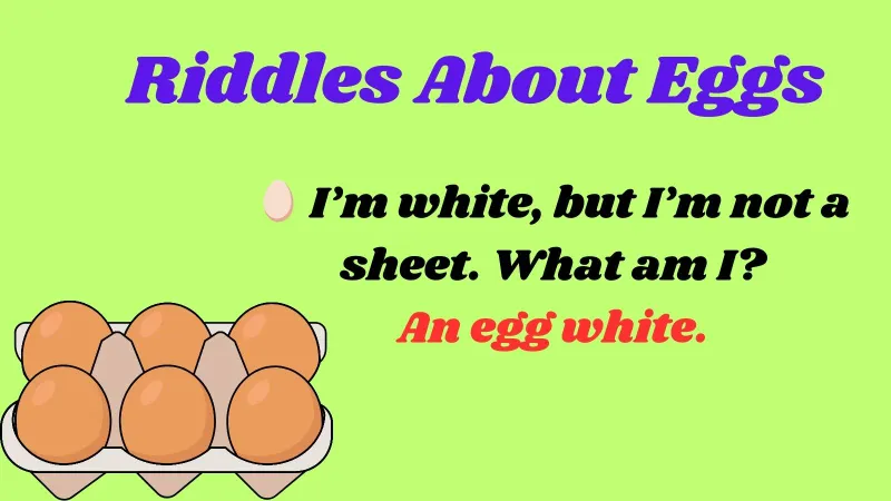 Riddles About Eggs