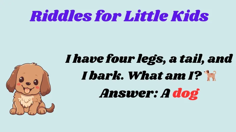 Riddles for Little Kids