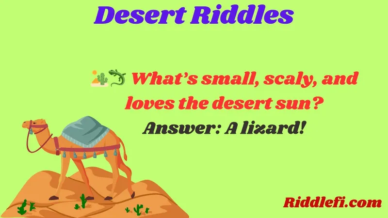 Desert Riddles