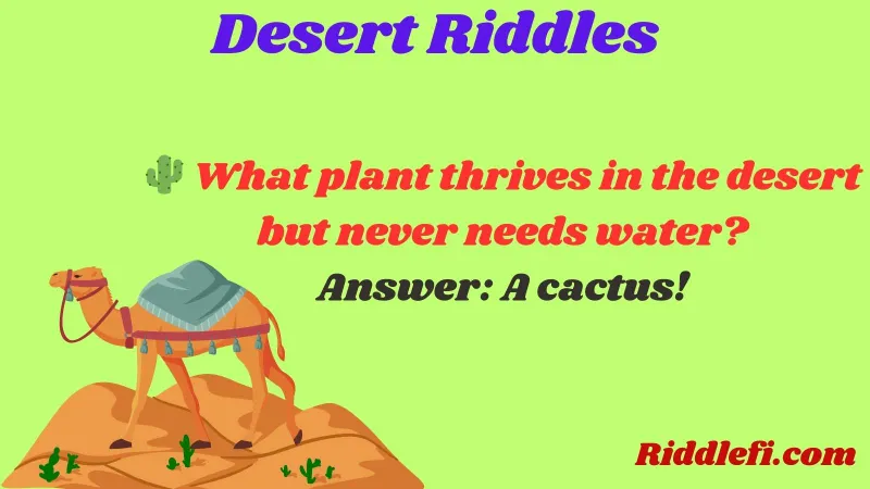 Desert Riddles