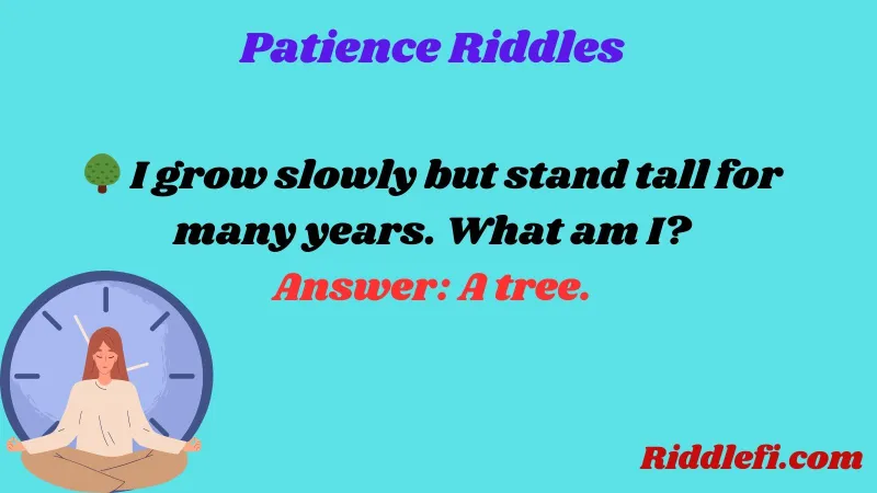 Patience Riddles