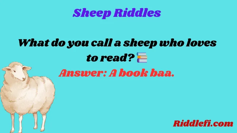 Sheep Riddles