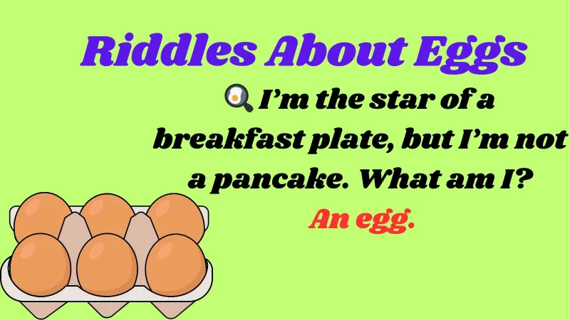 Riddles About Eggs