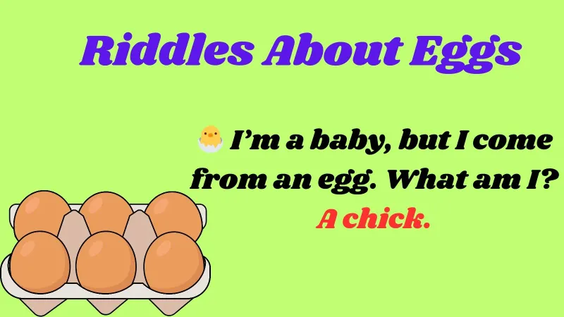 Riddles About Eggs