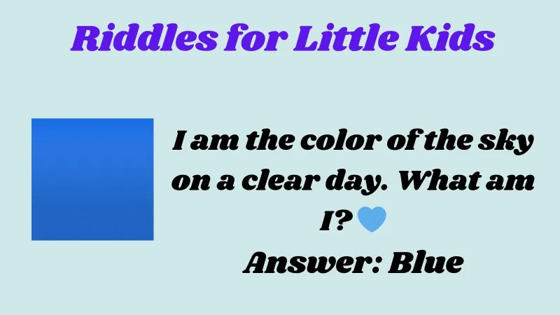 Riddles for Little Kids